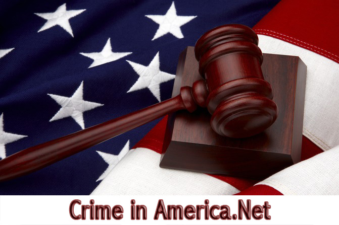 research topics on crime in america